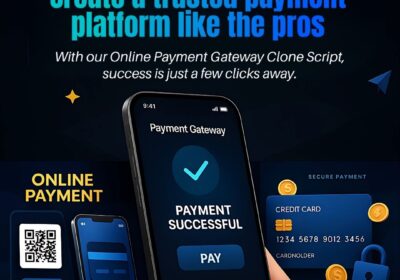 Dappsfirm-Online-Payment-Gateway-Clone-Script