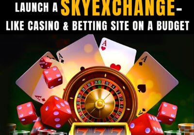 Dappsfirm-Skyexchange-Clone-Script