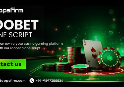roobet-clone-script-blog