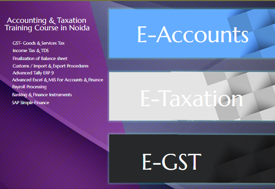 Accounting Course in Delhi, Build In-Demand Skills in Accounting, Taxation, Banking & Finance | Free SAP FICO, HR Payroll and BAT Certification by SLA Consultants India