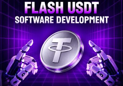 Dappsfirm-Flash-USDT-Software-Development