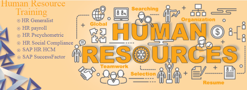 HR Course in Delhi for Strategic Talent Management Careers | Free SAP HCM, HR Analytics with AI / MS Power BI, Recruitment, Payroll and Employee Engagement Training by SLA Consultants India